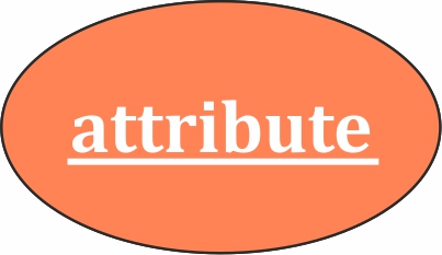 Key Attribute
